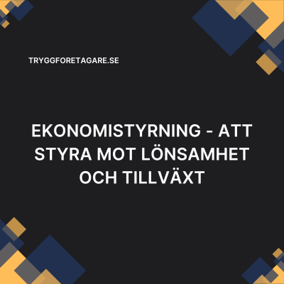 Ekonomistyrning – Att styra mot lönsamhet och tillväxt