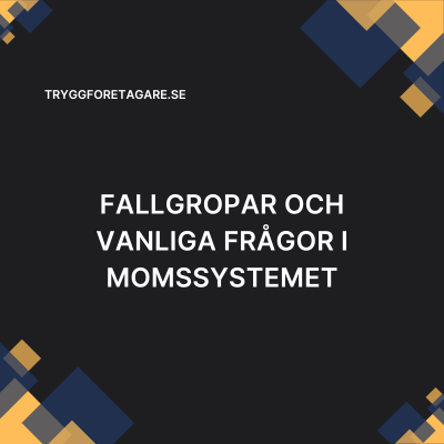 Fallgropar och vanliga frågor i momssystemet