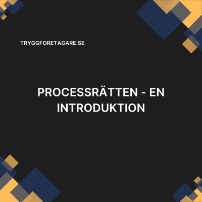 Processrätten – en introduktion